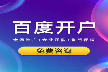 某电商平台的SEM投放全流程案例