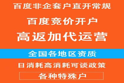 SEM广告投放的竞价策略与效果评估案例